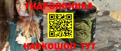 PSILOCYBIN Гатчина