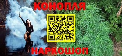 PSILOCYBIN Гатчина
