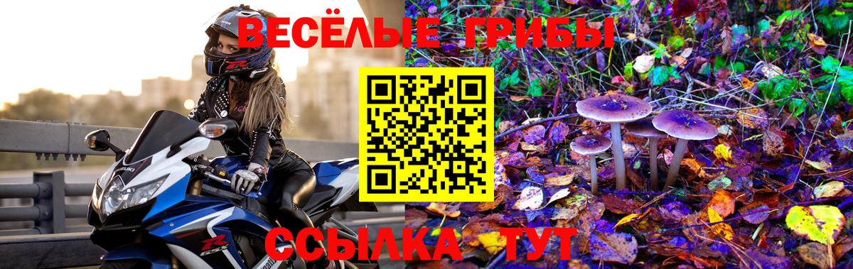 Псилоцибиновые грибы прущие грибы Мытищи
