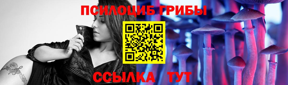 Мытищи  Псилоцибиновые грибы Magic Shrooms  Вход с VPN 